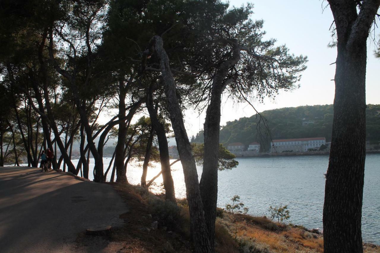 Apartman Covahouse Jelsa (Hvar)
