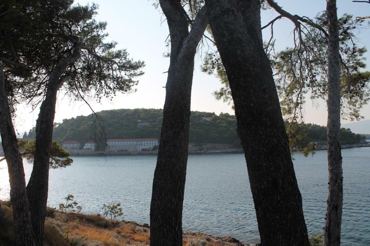 Covahouse Apartman